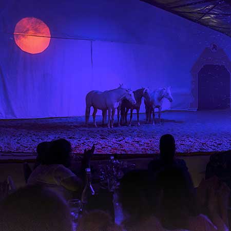 Zagal Cabaret Spectacle équestre La Palmyre Charente Maritime Nouvelle Aquitaine