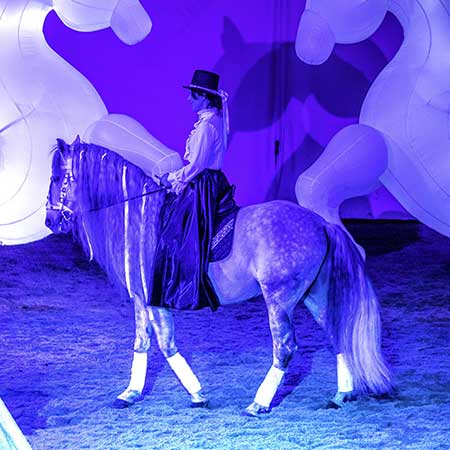 Zagal Cabaret Spectacle équestre La Palmyre Charente Maritime Nouvelle Aquitaine