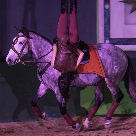 Zagal Cabaret Spectacle équestre La Palmyre Charente Maritime Nouvelle Aquitaine