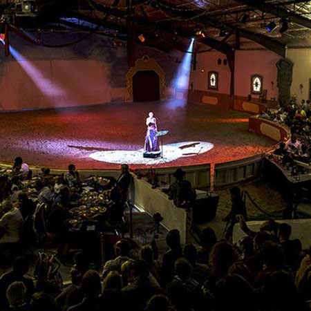 Zagal Cabaret Spectacle équestre La Palmyre Charente Maritime Nouvelle Aquitaine