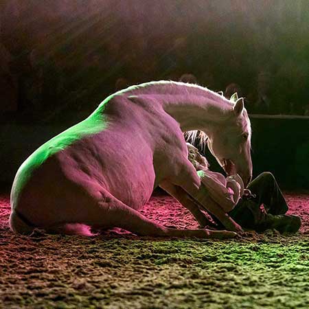 Zagal Cabaret Spectacle équestre La Palmyre Charente Maritime Nouvelle Aquitaine