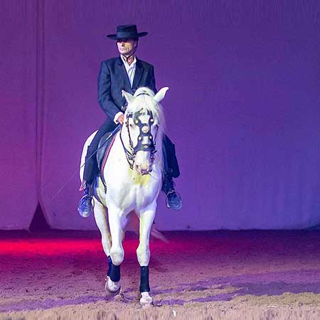 Zagal Cabaret Spectacle équestre La Palmyre Charente Maritime Nouvelle Aquitaine