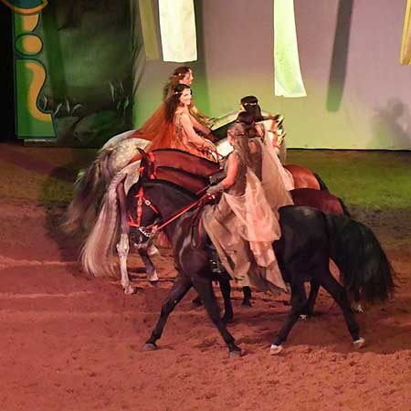Zagal Cabaret Spectacle équestre La Palmyre Charente Maritime Nouvelle Aquitaine