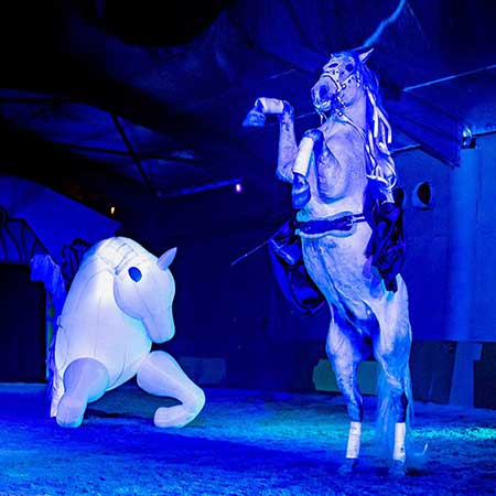 Zagal Cabaret Spectacle équestre La Palmyre Charente Maritime Nouvelle Aquitaine