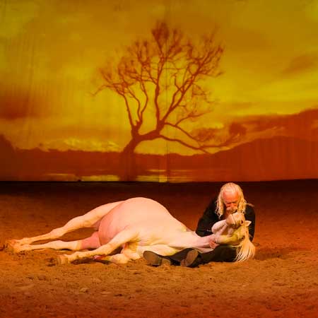 Zagal Cabaret Spectacle équestre La Palmyre Charente Maritime Nouvelle Aquitaine