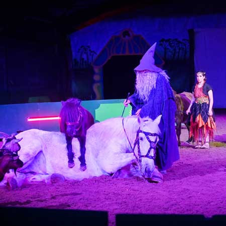 Zagal Cabaret Spectacle équestre La Palmyre Charente Maritime Nouvelle Aquitaine